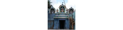 215. திருநெல்வாயில் அரத்துறை